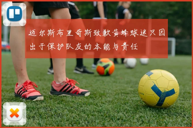 迈尔斯布里奇斯致歉黄蜂球迷只因出于保护队友的本能与责任