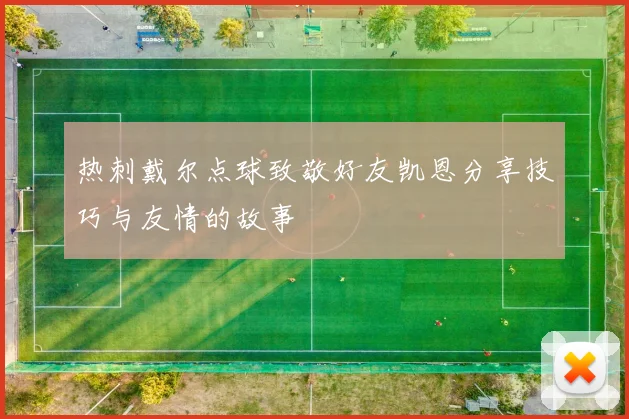 热刺戴尔点球致敬好友凯恩分享技巧与友情的故事